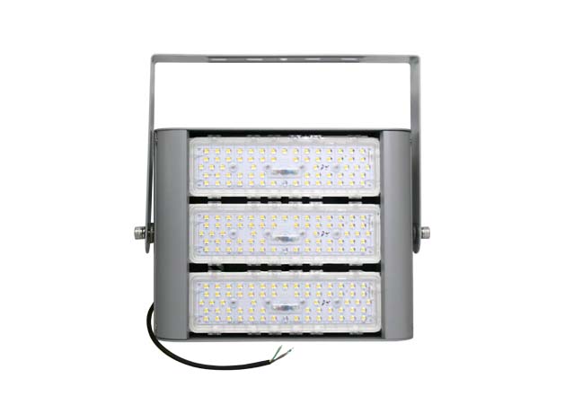 FL2C LED Flood Light With Day Night Sensor